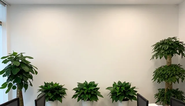 效率提升中的流程优化:两种做法的实际取舍